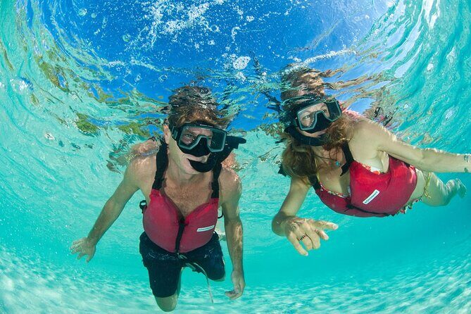 St Thomas Mangrove Lagoon Kayak and Snorkel Tour in the US Virgin Islands - Who Will Enjoy This Tour?