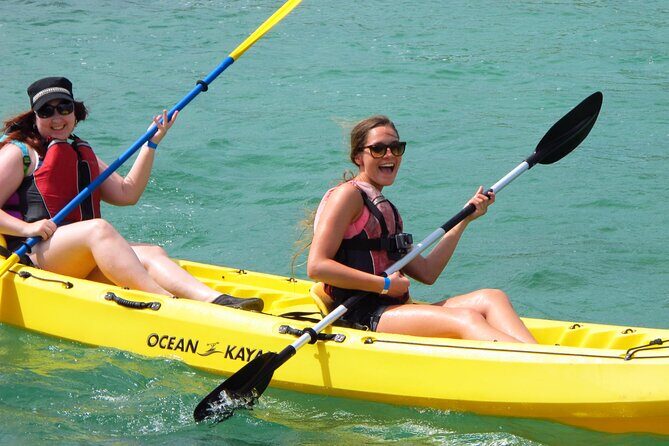 St Thomas Mangrove Lagoon Kayak and Snorkel Tour in the US Virgin Islands - The Sum Up