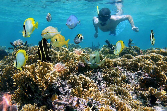 St Thomas~St John Snorkel, Swim & Beach Trip on MV Island Flyer - Key Points About the MV Island Flyer Snorkel & Beach Trip