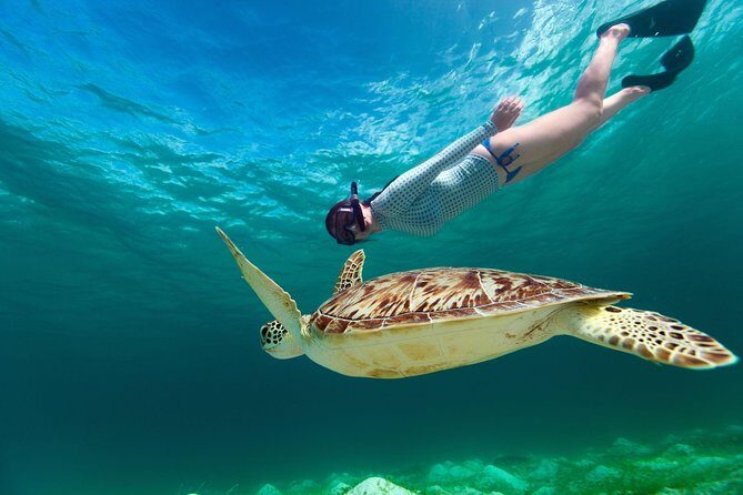 St Thomas~St John Snorkel, Swim & Beach Trip on MV Island Flyer - An Honest Look at the Itinerary and Experience