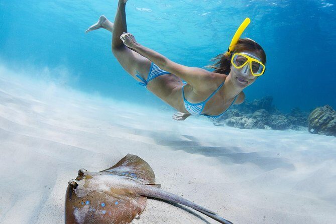 St Thomas~St John Snorkel, Swim & Beach Trip on MV Island Flyer - The Real Benefits for Travelers