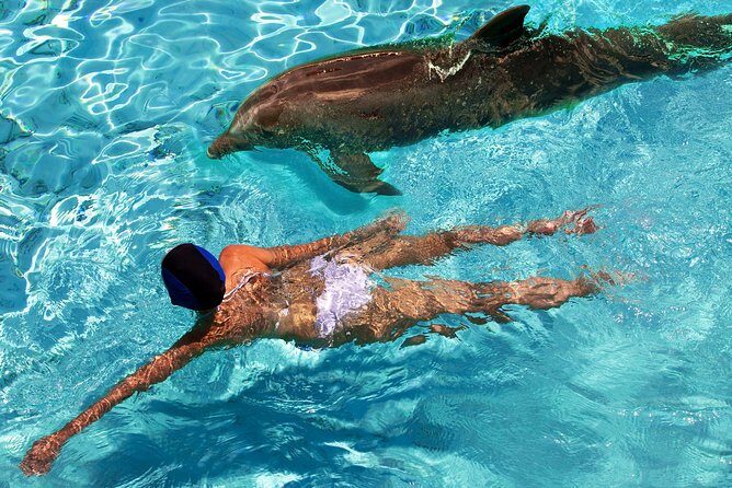 St Thomas~St John Snorkel, Swim & Beach Trip on MV Island Flyer - FAQ About the St. Thomas–St. John Snorkel & Beach Trip