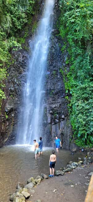 St. Vincent: Leeward Island Tour with Dark View Falls - An Authentic Look at the Leeward Island Tour
