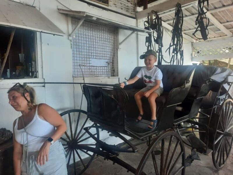 St. Vincent: Leeward Island Tour with Dark View Falls - What do Real Travelers Say?