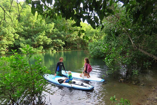 Stand Up Paddle Adventure in Guadeloupe - A Closer Look at the Experience