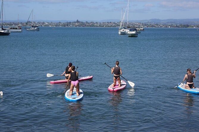Stand Up Paddle Board Adventure in Mount Maunganui - Key Points