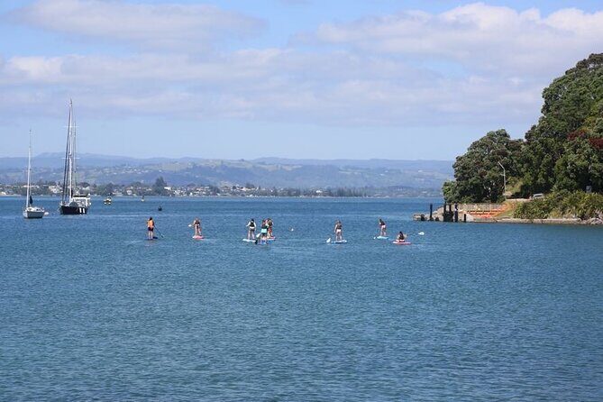 Stand Up Paddle Board Adventure in Mount Maunganui - Why This Tour Delivers Real Value