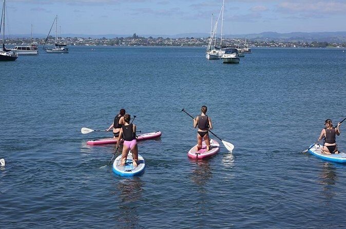 Stand Up Paddle Board Adventure in Mount Maunganui - Who Should Consider This Tour?