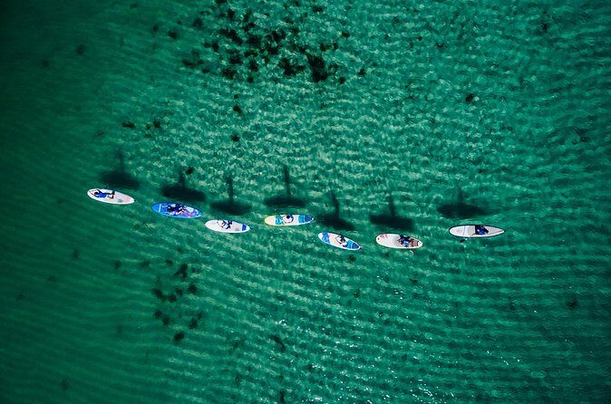 Stand Up Paddle Board Experience on Pristine Gnarabup Bay - What Could Be Better