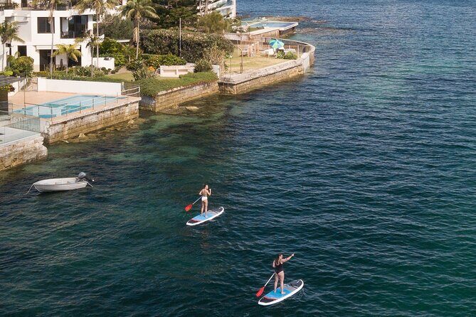 Stand Up Paddle Board Hire - 2 Hours - Practical Details and What to Expect