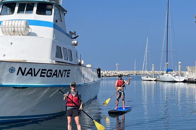 Stand Up Paddle Board Redondo Beach - The Sum Up