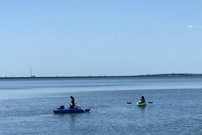 Stand Up Paddle Board Rental - A Closer Look at the Tampa Paddle Experience