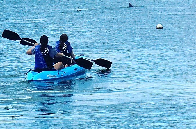 Stand Up Paddle Board Rental - FAQs