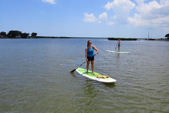 Stand Up Paddle Board Rental in Rose Bay - An In-Depth Look at the Paddleboard Experience in Rose Bay