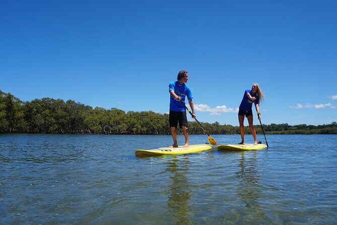 Stand-Up Paddle Board Tour in Byron Bay - Exploring the Stand-Up Paddle Board Tour in Byron Bay: A Practical Guide