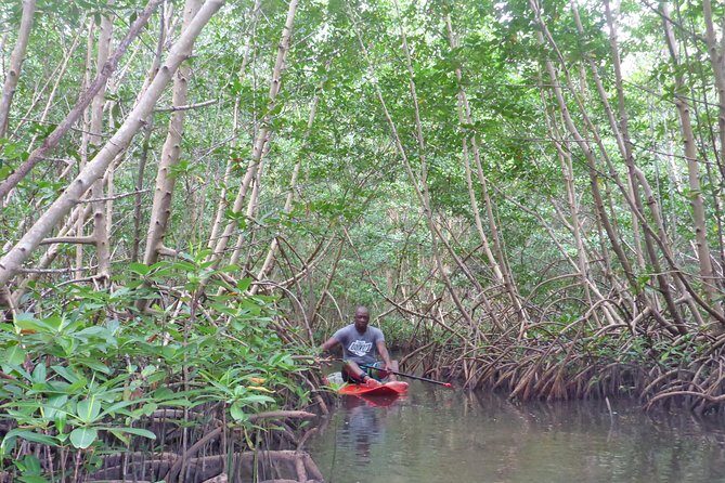 Stand up paddle in paradise - Introduction