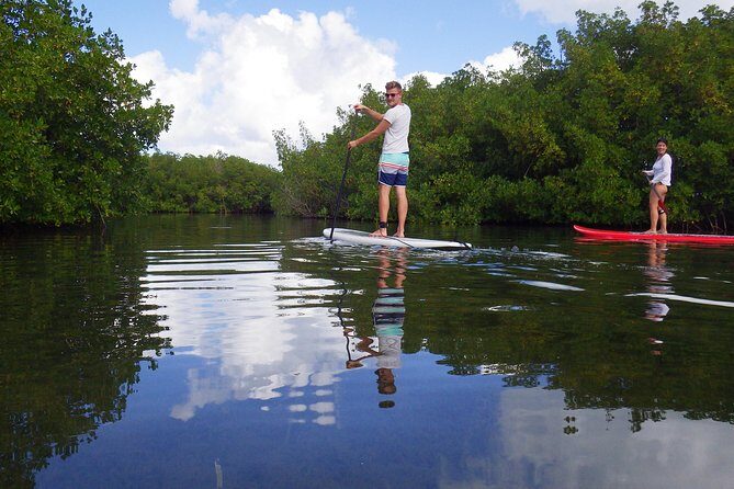 Stand up paddle in paradise - Detailed Review of the Tour