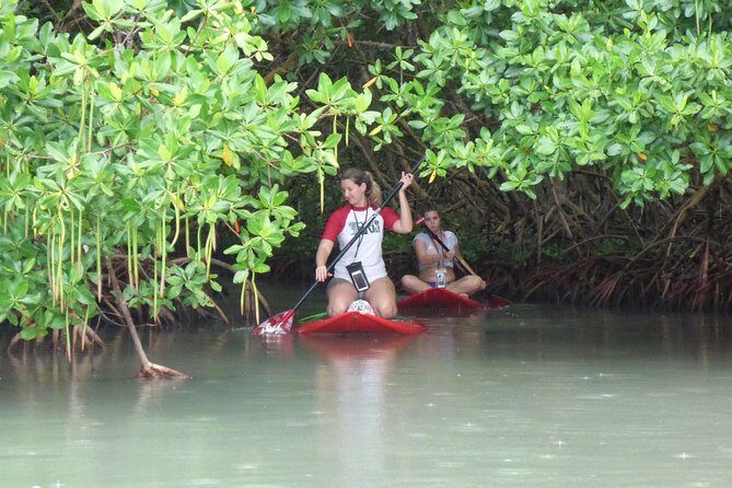 Stand up paddle in paradise - The Sum Up