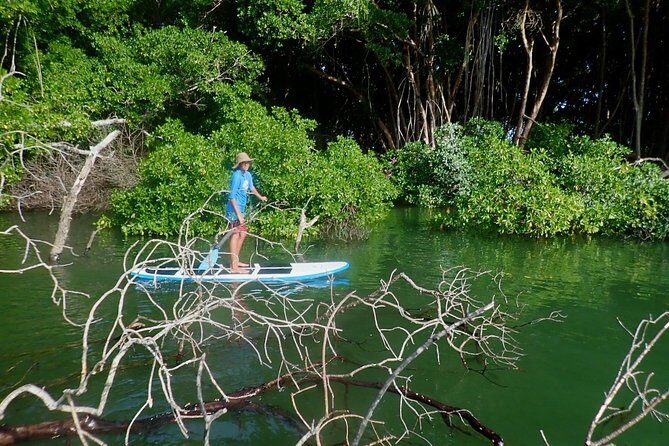 Stand Up Paddle Lessons - Final Thoughts