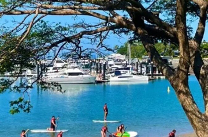Stand Up Paddle Rental 1hr - Final Thoughts: Is It Worth It?