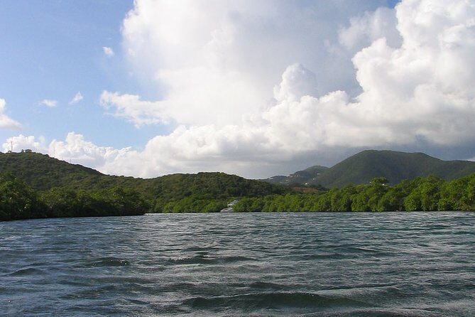 Stand Up Paddleboard Rental in St Thomas - Practical Tips for Your Paddleboarding Day
