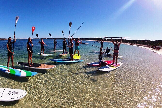 Stand Up Paddleboard Rentals - What to Expect During Your Paddle