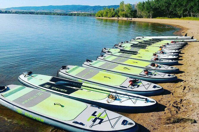 Stand Up Paddleboard Rentals - Authentic Feedback and Practical Tips