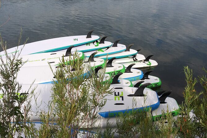 Stand Up Paddleboard Rentals - Who Should Consider This?