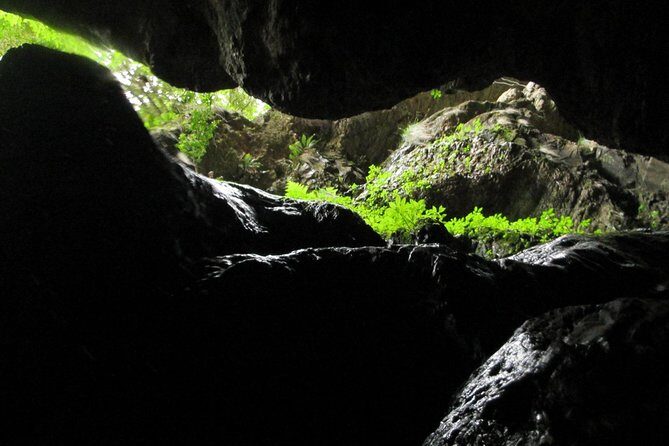 Standard Canyoning Trip in The Crags, South Africa - Authentic Experiences and Guest Feedback