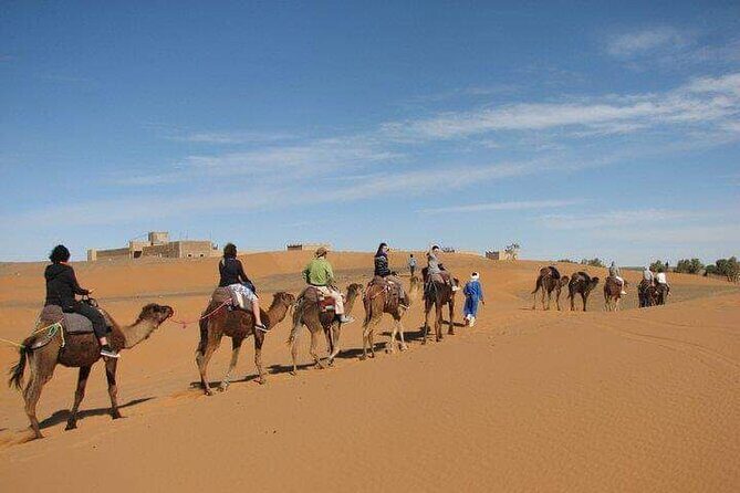 Standard trip in 1 night / 2 days from fez to merzouga - marrakech or back with same transportation fez - Authentic Experiences and Genuine Praise