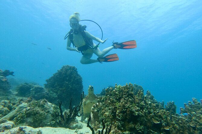 StandUp PaddleBoard Lesson and Experience Scuba Diving Package! - Introduction and First Impressions