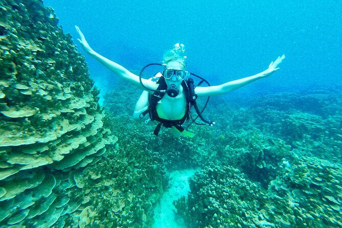 StandUp PaddleBoard Lesson and Experience Scuba Diving Package! - Detailed Breakdown of the Itinerary