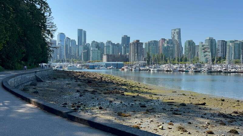 Stanley Park EUC & E-scooters loop tour - Final Thoughts