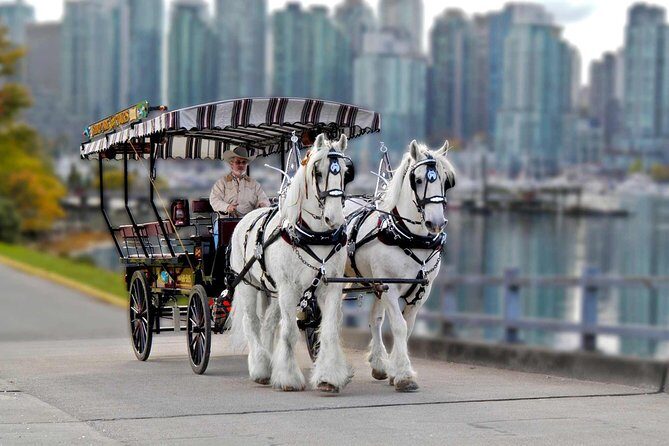 Stanley Park Horse-Drawn Tour - Discovering Vancouver’s Stanley Park on a Horse-Drawn Carriage