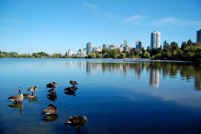 Stanley Park Self Guided Walking Tour - Final Thoughts: Who Should Consider This Tour?
