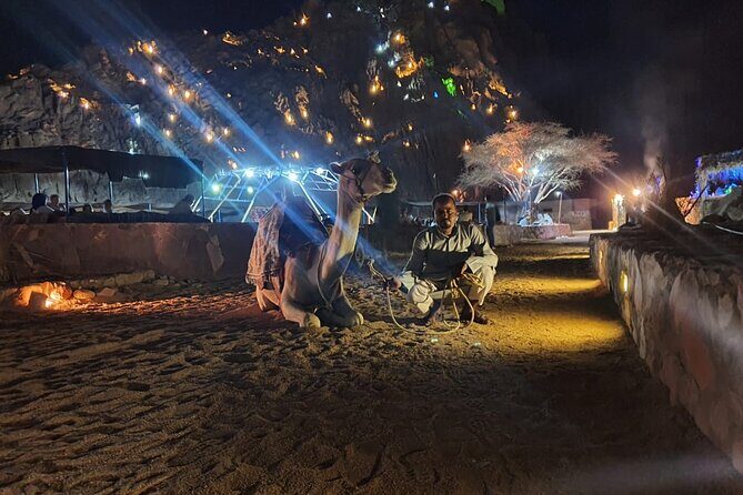 Star Gazing & Bedouin Dinner Trip in Sharm El Sheikh Desert - Transportation, Timing, and Group Size