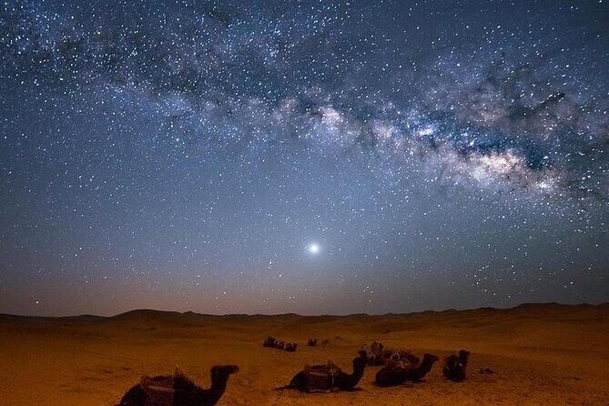 Star Gazing Safari tour By ATV Quad, Bedouin Dinner, telescope - Sharm El Sheikh - Key Points