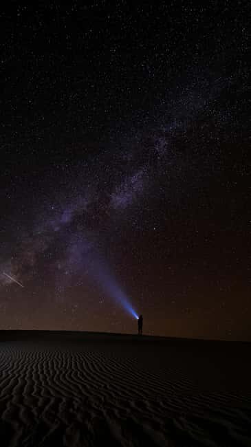Star Studded Night Desert Safari Doha Qatar - The Experience’s Pros and Cons