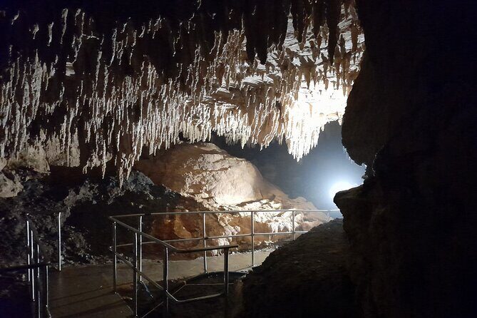 Starburst Cathedral deep inside Milky Way Glowworm Cave - Who Would Love This Tour?