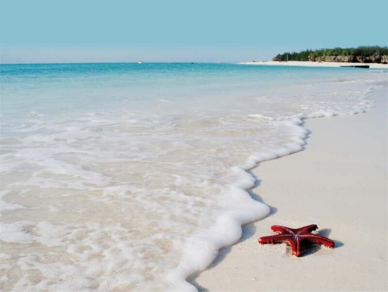 Starfish Adventure, Lunch at The Rock, Mnemba Dolphin Tour - An In-Depth Look at the Zanzibar Experience