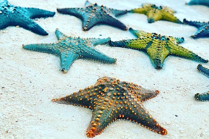 Starfish Adventure; The Rock Restaurant; Kuza Cave, Salaam Cave - FAQ