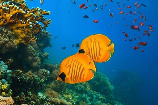 Starfish Beach; The Rock; Kuza Cave; Paje Beach; Salaam Cave Tour - Who Would Enjoy This Tour?