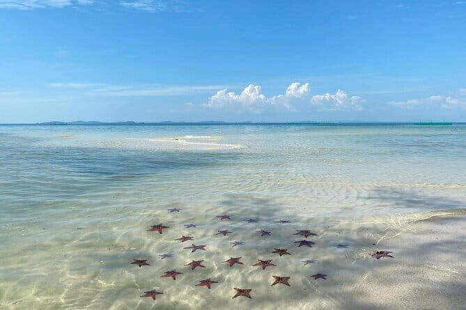 Starfish Beach Trip In Phu Quoc Island - FAQs