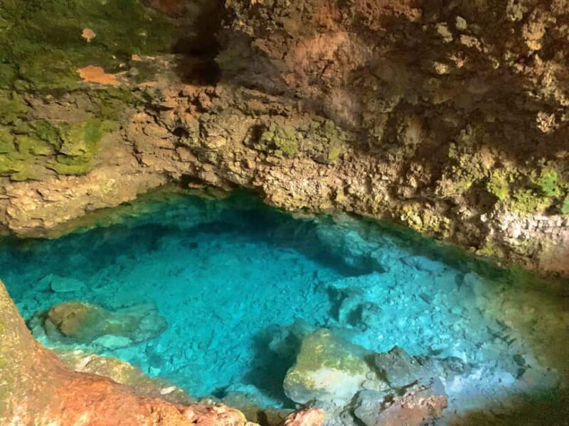 Starfish Tour, Blue Lagoon Snorkeling, The Rock, Paje Beach - Exploring Zanzibar’s Natural Treasures