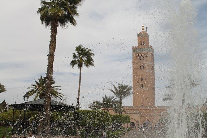 Stargazing and camel ride in the agafay desert - Discovering the Agafay Desert: What to Expect