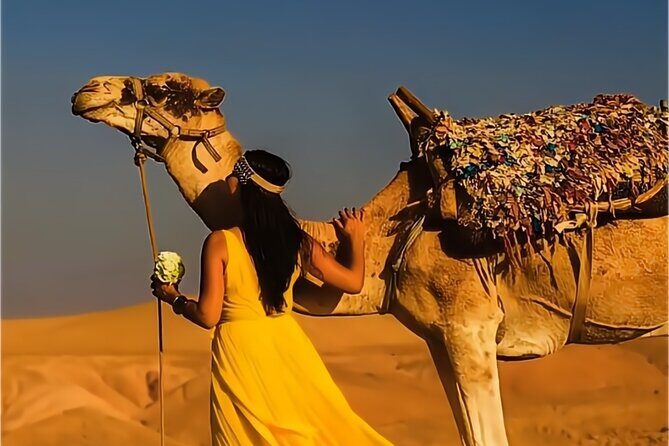 Stargazing and camel ride in the agafay desert - What You Might Want to Consider