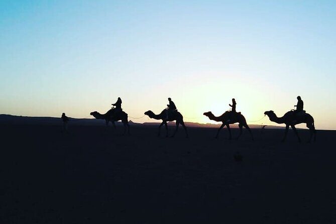 Stargazing and camel ride in the agafay desert - Who Will Love This Tour?