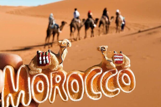 Stargazing and camel ride in the agafay desert - The Sum Up