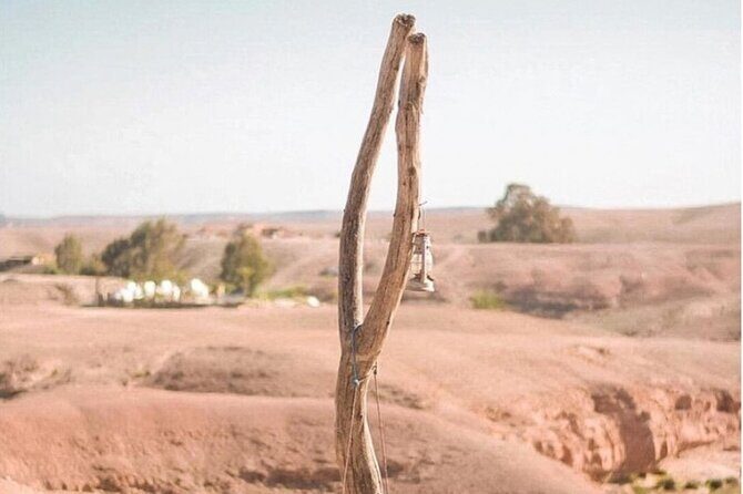 Stargazing and camel ride in the agafay desert - FAQ