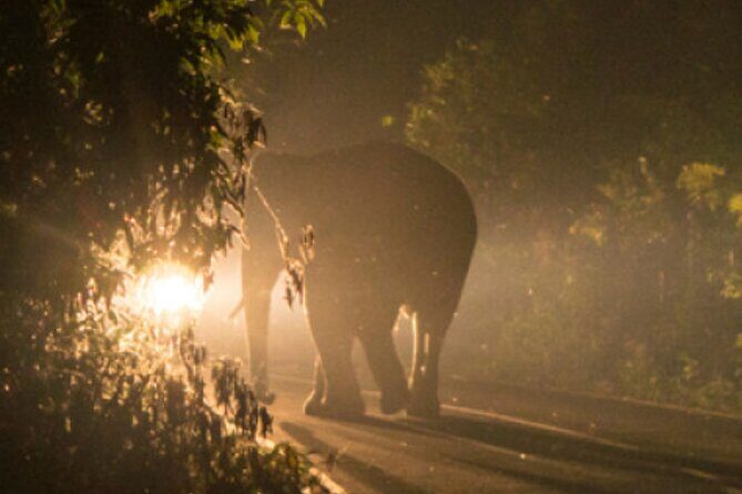Stargazing and Moonlight Experience - What the Tour Entails: A Step-by-Step Breakdown
